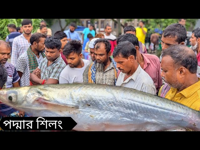 গরিবের মাছের হাট, সস্তায় পাওয়া যায় সব ধরনের মাছ