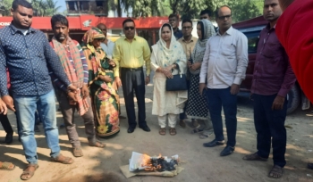 জীবননগরে গাঁজা ও ইয়াবাসহ আটক দুই মাদকসেবীর কারাদণ্ড