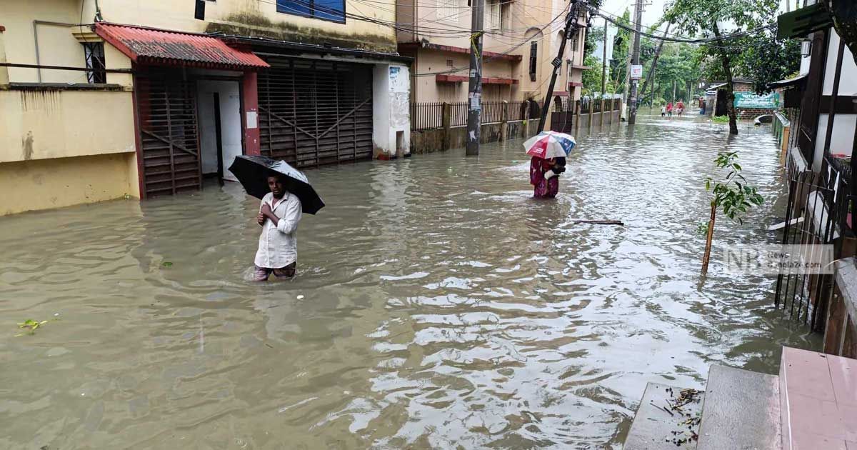 জীবননগরে টানা তিন দিনের বৃষ্টিতে পানির নীচে ফসলি জমি, ব্যাপক ক্ষতির শঙ্কা!