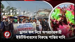 জীবননগরে ড্রাগন ফল নিয়ে ইউটিউবারদের অপপ্রচারের বিরুদ্ধে চাষীদের মানববন্ধন