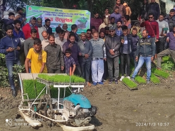 জীবননগরে যন্ত্রের মাধ্যমে ধানের চারা রোপণের উদ্বোধন