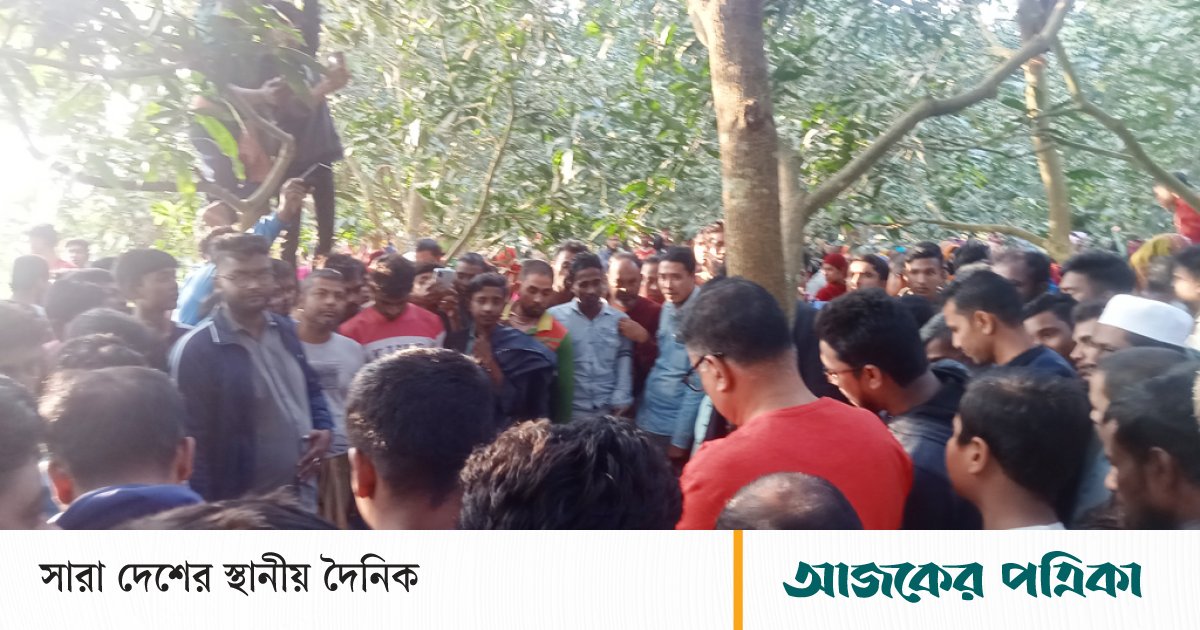 জীবননগরে শাক তুলতে মাঠে যাওয়া শিশুকে ধর্ষণের পর গলা কেটে হত্যা