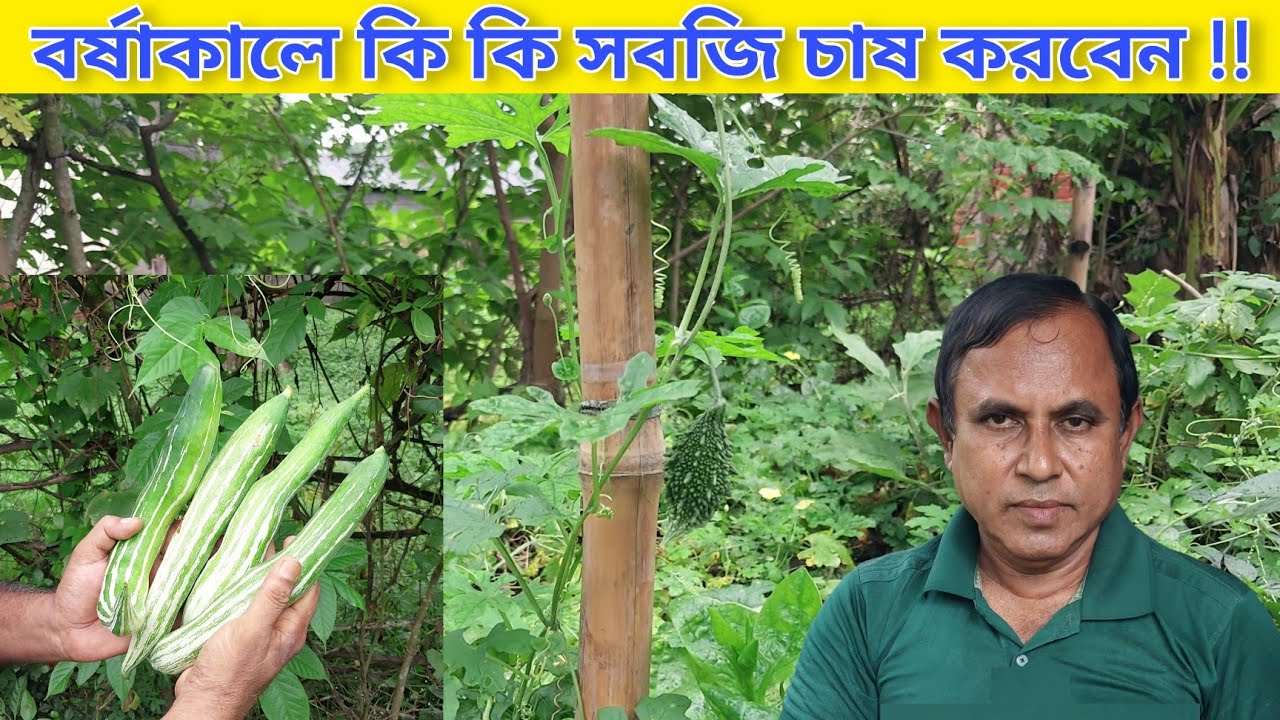 জীবননগরের বাঁকায় ১৪ সপ্তাহের সবজি চাষ প্রশিক্ষণের উদ্বোধন