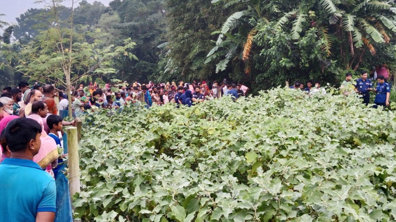 বাড়ি থেকে তুলে নিয়ে বোনকে গলা কেটে হত্যা